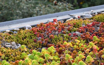 the cost of Cwm Capel green roof installation