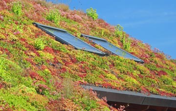 Cwm Capel living roof systems