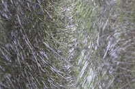 Cwm Capel fibreglass roof work